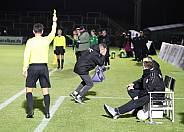 16.Spieltag BFC Dynamo - BSG Chemie Leipzig