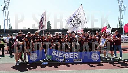 38.Spieltag VSG Altglienicke - BFC Dynamo,