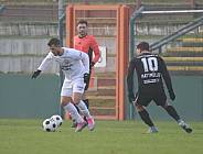 Testspiel BFC Dynamo - SV Lichtenberg 47