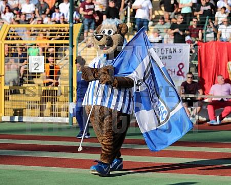 Testspiel BFC Dynamo - Hertha BSC