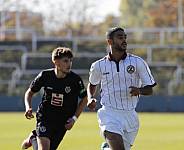 8.Spieltag BFC Dynamo U19 - FC Energie Cottbus U19 ,