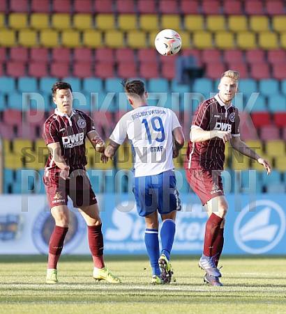 19.Spieltag BFC Dynamo - Bischofswerdaer FV08 19.Spieltag BFC Dynamo - Bischofswerdaer FV08