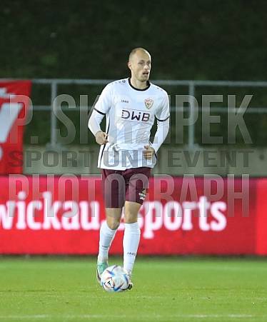 18.Spieltag FSV Zwickau - BFC Dynamo, 18.Spieltag FSV Zwickau - BFC Dynamo,