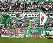 29.Spieltag BSG Chemie Leipzig - BFC Dynamo