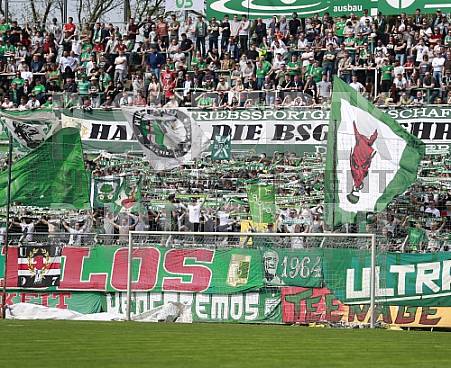 29.Spieltag BSG Chemie Leipzig - BFC Dynamo