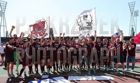 38.Spieltag VSG Altglienicke - BFC Dynamo, 38.Spieltag VSG Altglienicke - BFC Dynamo,
