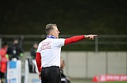 17.Spieltag FSV Zwickau - BFC Dynamo