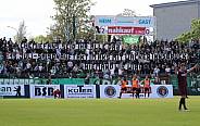 31.Spieltag BFC Dynamo - BSG Chemie Leipzig
