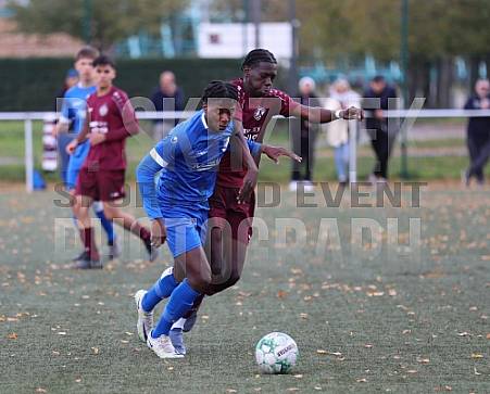 7.Spieltag BFC Dynamo U19 - VSG Altglienicke U19,