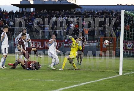 35.Spieltag BFC Dynamo - Tennis Borussia Berlin,