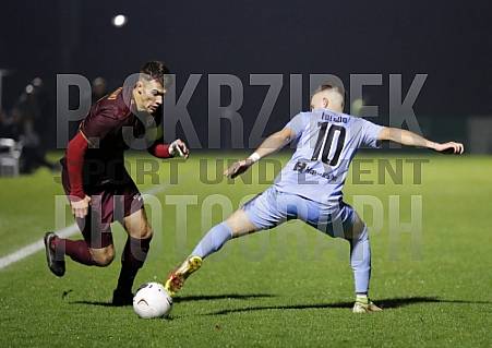 12.Spieltag BFC Dynamo - FC Viktoria 1889 Berlin