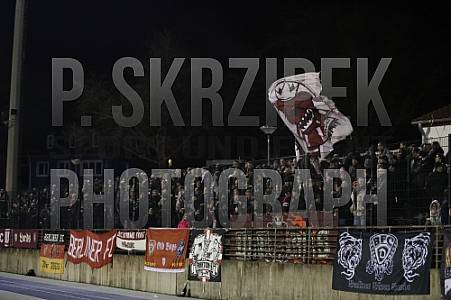 25.Spieltag SV Tasmania - BFC Dynamo, 25.Spieltag SV Tasmania - BFC Dynamo,