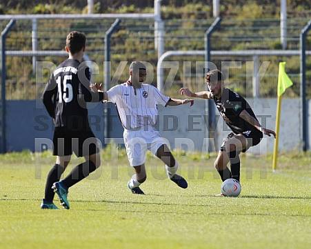 8.Spieltag BFC Dynamo U19 - FC Energie Cottbus U19 ,