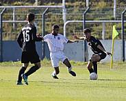8.Spieltag BFC Dynamo U19 - FC Energie Cottbus U19 ,