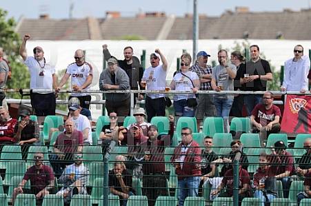 Testspiel BFC Dynamo - SV Sparta Lichtenberg