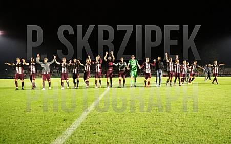 12.Spieltag BFC Dynamo - Chemnitzer FC,