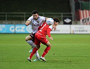 18.Spieltag FSV Zwickau - BFC Dynamo,