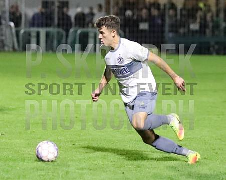 2.Runde AOK-Landespokal Füchse Berlin - BFC Dynamo