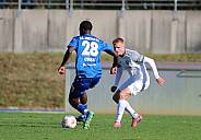 12.Spieltag FC Hertha 03 Zehlendorf - BFC Dynamo