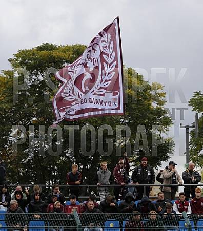 8.Spieltag BFC Dynamo - Tennis Borussia Berlin,