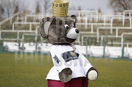 26.Spieltag BFC Dynamo - VFC Plauen