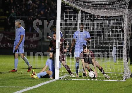 12.Spieltag BFC Dynamo - FC Viktoria 1889 Berlin