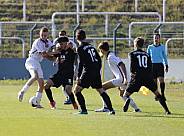 8.Spieltag BFC Dynamo U19 - FC Energie Cottbus U19 ,