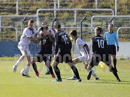 8.Spieltag BFC Dynamo U19 - FC Energie Cottbus U19 ,