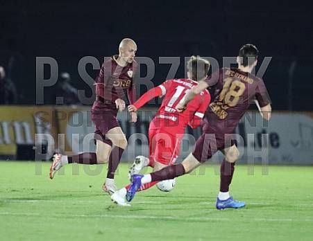 23.Spieltag BFC Dynamo - Greifswalder FC