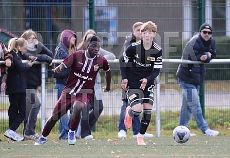 8.Spieltag BFC Dynamo U17 - 1.FC Union U16
