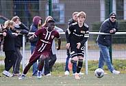 8.Spieltag BFC Dynamo U17 - 1.FC Union U16