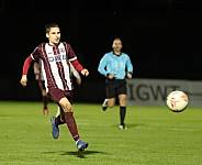 24.Spieltag BFC Dynamo - ZFC Meuselwitz,