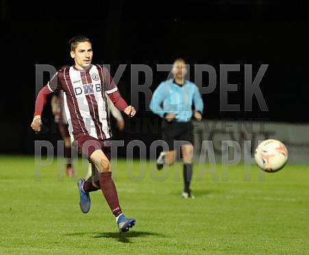 24.Spieltag BFC Dynamo - ZFC Meuselwitz,