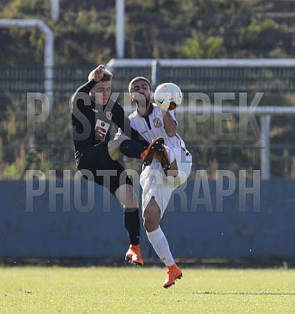 8.Spieltag BFC Dynamo U19 - FC Energie Cottbus U19 ,