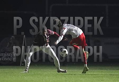 18.Spieltag BFC Dynamo - Hallescher FC