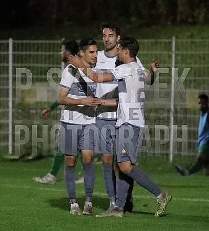 2.Runde AOK-Landespokal Füchse Berlin - BFC Dynamo