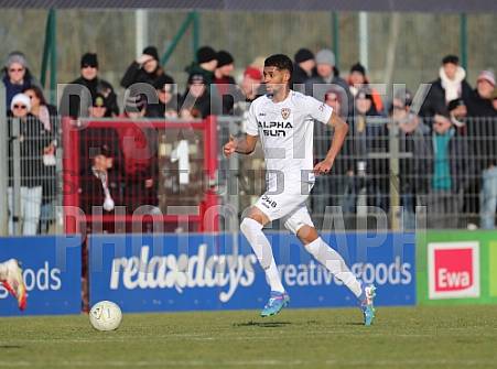 20.Spieltag ZFC Meuselwitz - BFC Dynamo