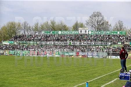 29.Spieltag BSG Chemie Leipzig - BFC Dynamo 29.Spieltag BSG Chemie Leipzig - BFC Dynamo