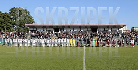 BFC Dynamo - BFC Dynamo Allstars Team,