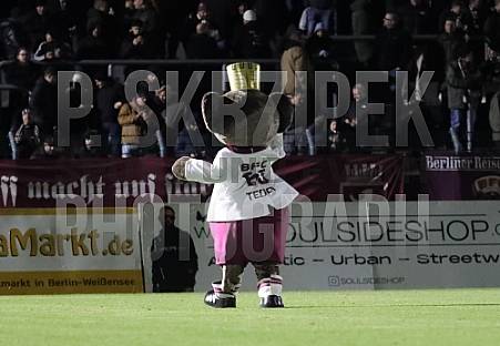 23.Spieltag BFC Dynamo - Greifswalder FC