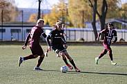8.Spieltag BFC Dynamo U17 - 1.FC Union U16
