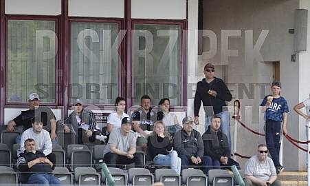24.Spieltag BFC Dynamo U19 - Hallescher FC U19,