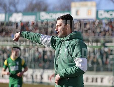 29.Spieltag BSG Chemnie Leipzig - BFC Dynamo,