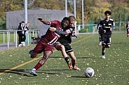 8.Spieltag BFC Dynamo U17 - 1.FC Union U16