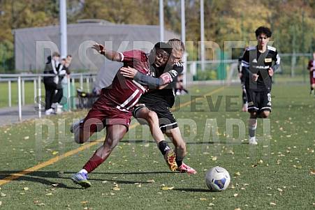 8.Spieltag BFC Dynamo U17 - 1.FC Union U16