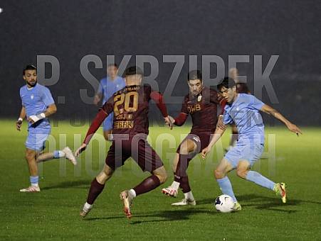 12.Spieltag BFC Dynamo - FC Viktoria 1889 Berlin