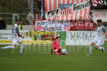 28. Spieltag FSV Zwickau - BFC Dynamo