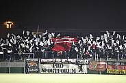 20.Spieltag BFC Dynamo - Chemnitzer FC,