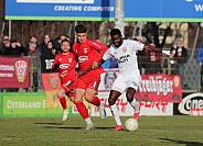 20.Spieltag ZFC Meuselwitz - BFC Dynamo