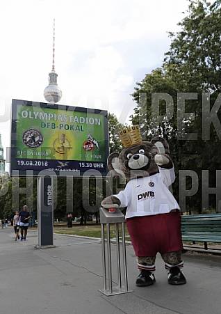 Werbung mit Teddy für die 1.Runde im DFB-Pokal
